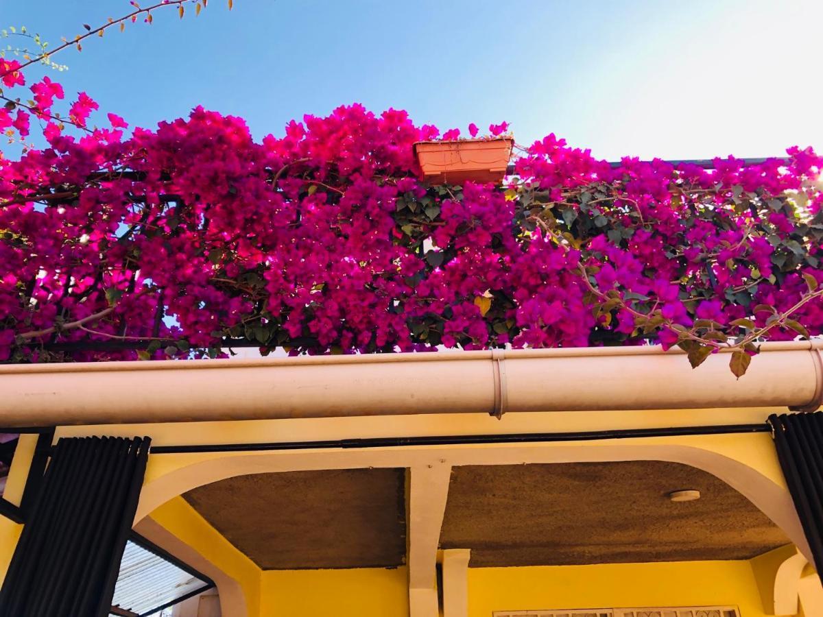 Petite Flower Guest House Talata-maty Exterior photo
