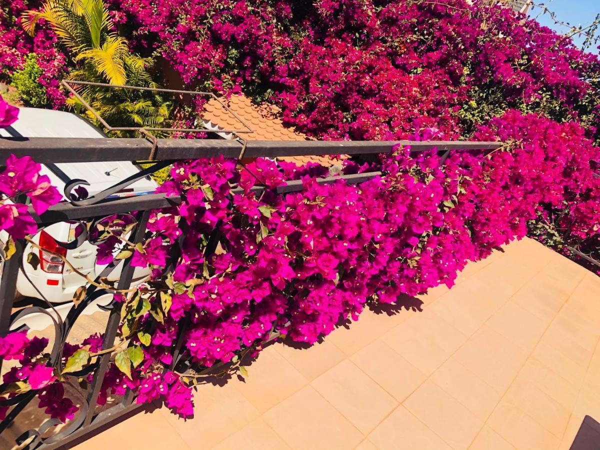 Petite Flower Guest House Talata-maty Exterior photo