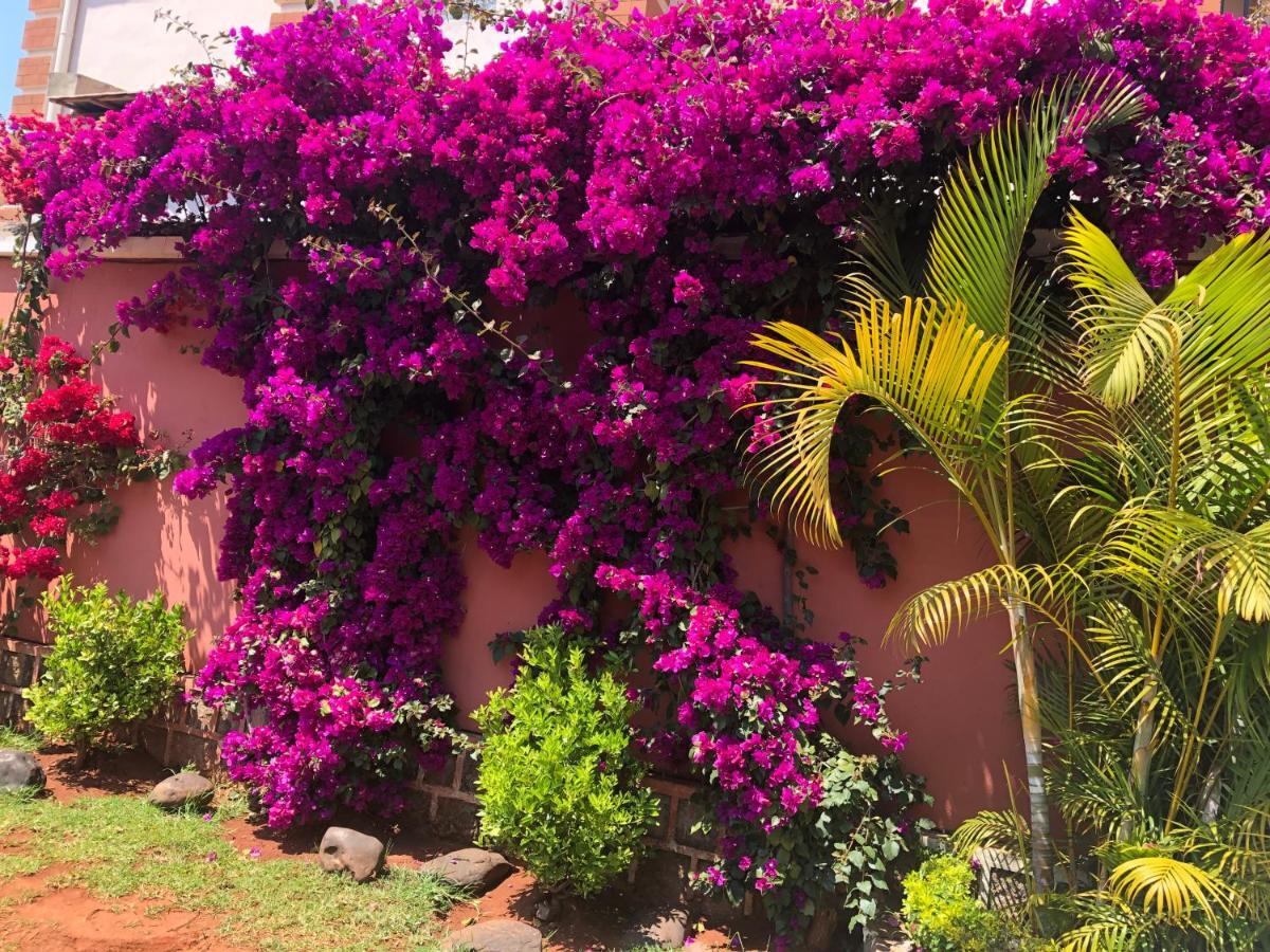 Petite Flower Guest House Talata-maty Exterior photo